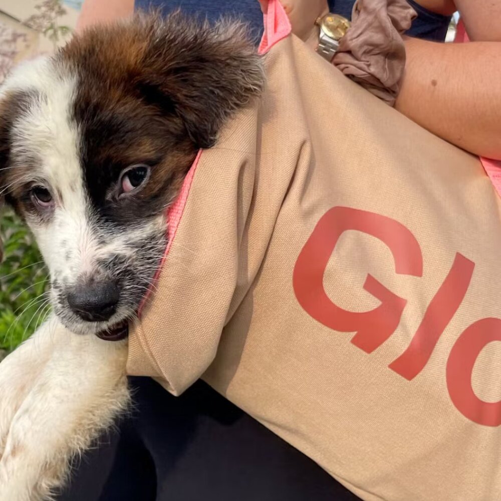 Glossier Duffle Bag Medium 20"x10"x10" Brown Pink Desert Rose Zip Strap Canvas - Picture 6 of 6